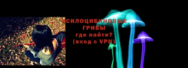 PSILOCYBIN Баксан