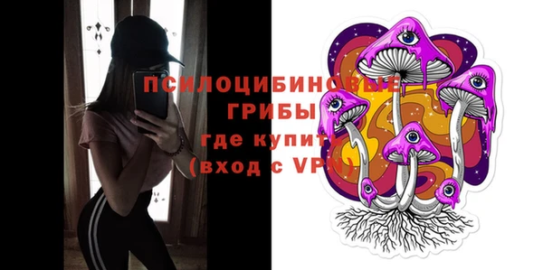 мет Протвино