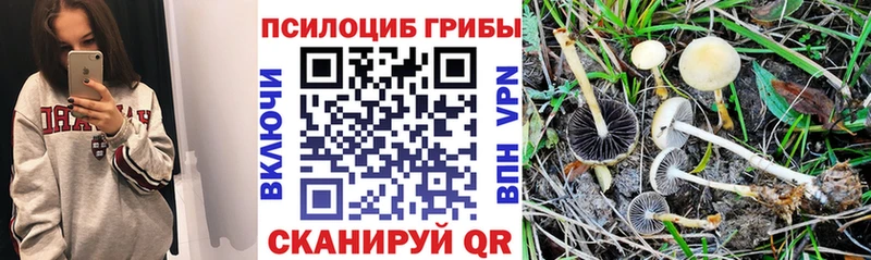 Галлюциногенные грибы мицелий  Чердынь 